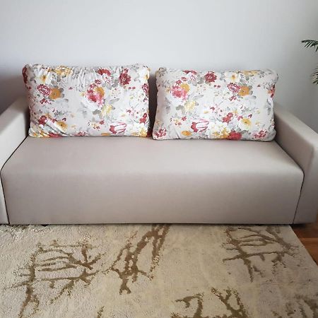 Garsoniera Mihaela Apartment Petroşani Екстериор снимка