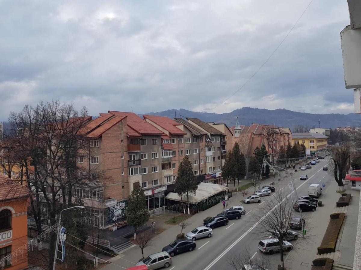 Garsoniera Mihaela Apartment Petroşani Екстериор снимка