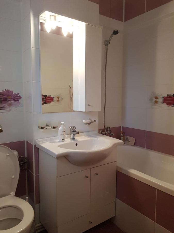 Garsoniera Mihaela Apartment Petroşani Екстериор снимка