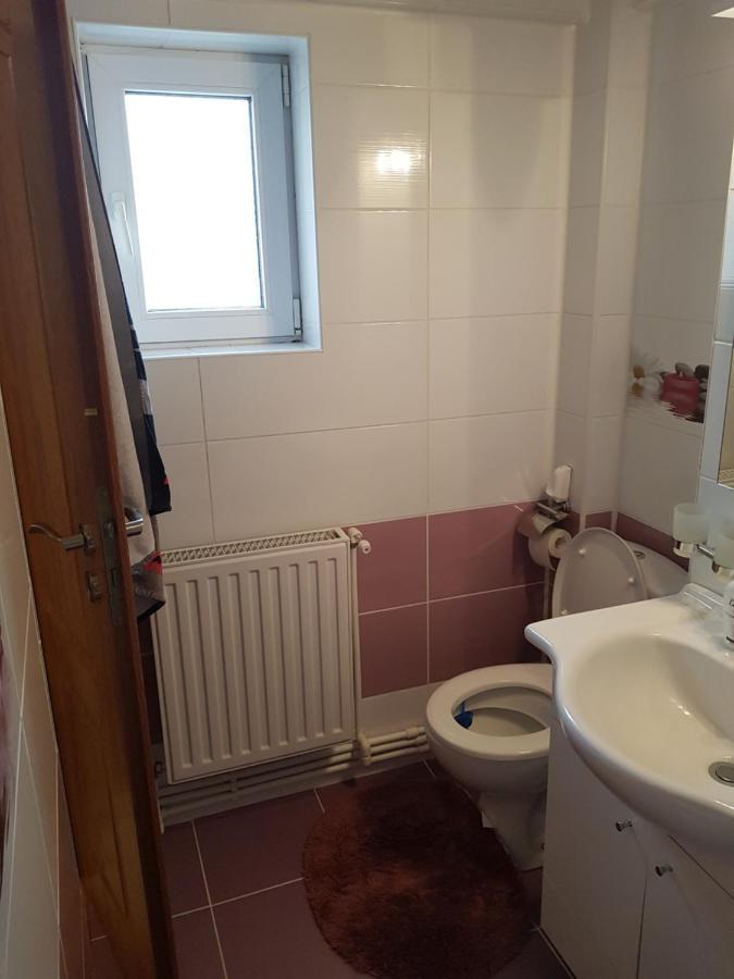 Garsoniera Mihaela Apartment Petroşani Екстериор снимка
