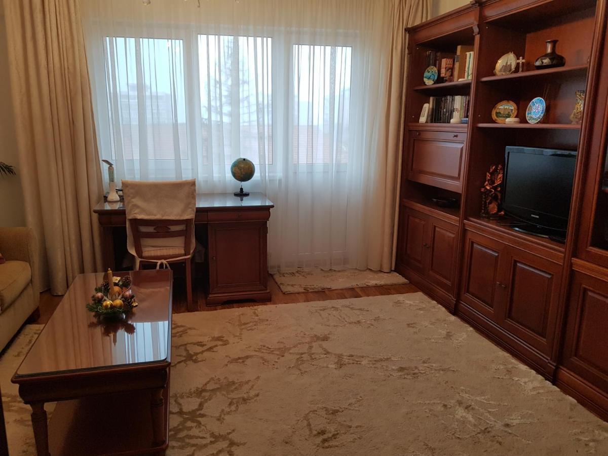 Garsoniera Mihaela Apartment Petroşani Екстериор снимка