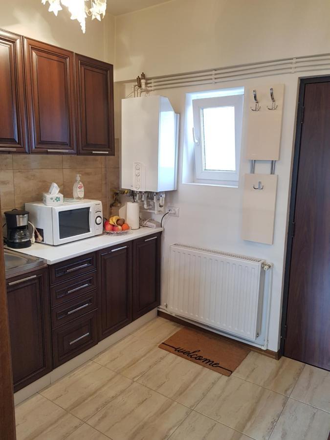 Garsoniera Mihaela Apartment Petroşani Екстериор снимка