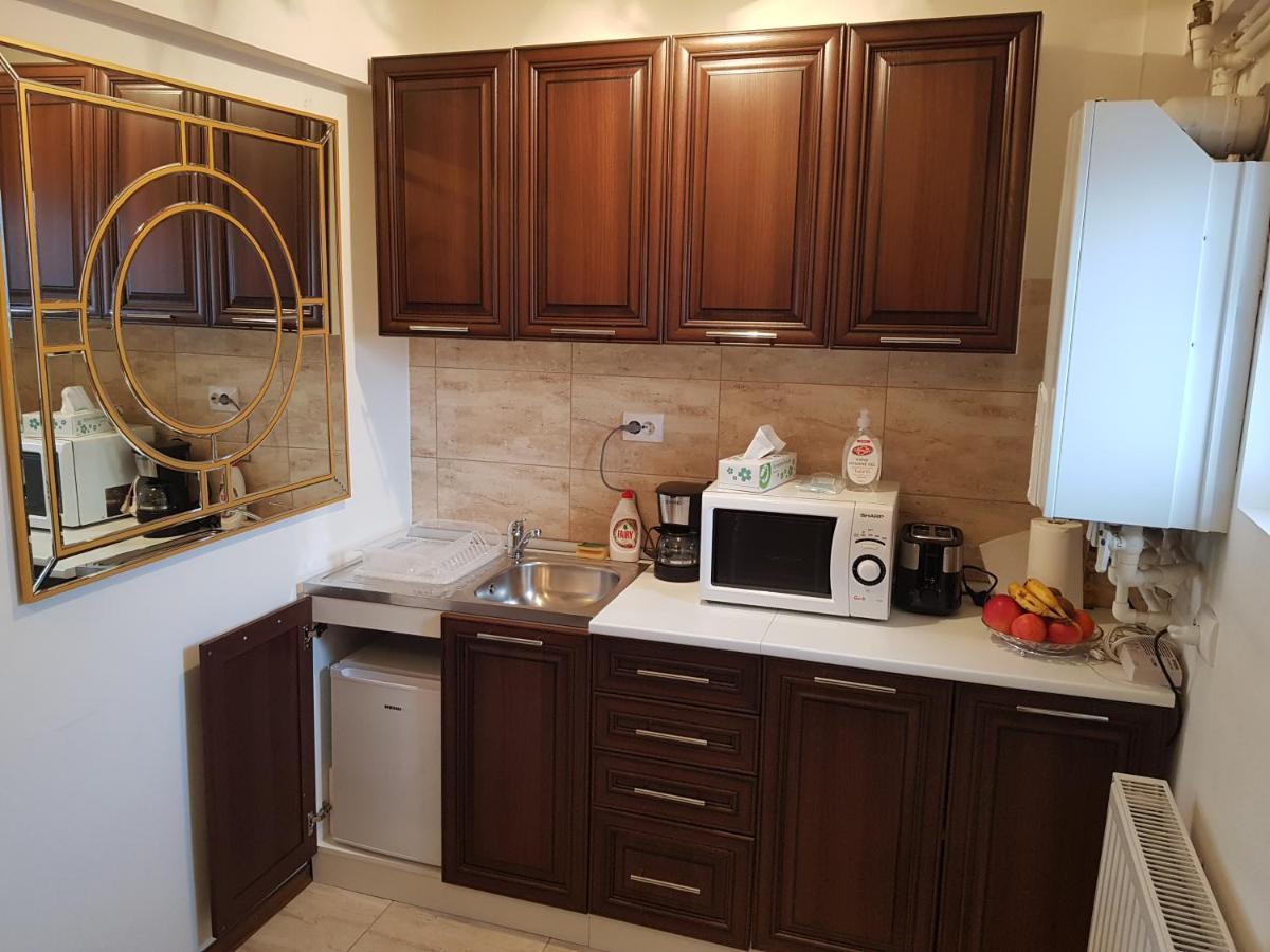 Garsoniera Mihaela Apartment Petroşani Екстериор снимка