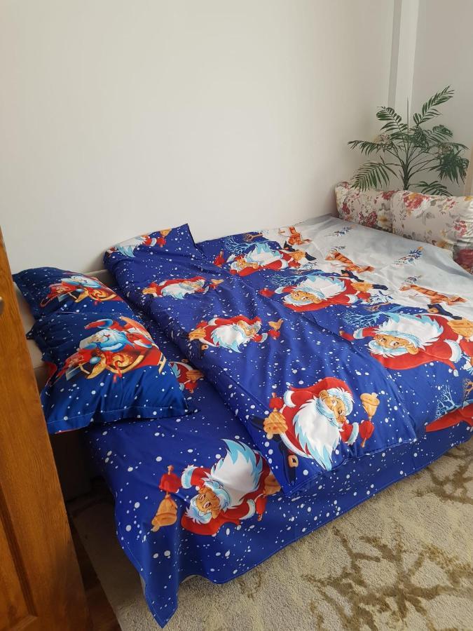 Garsoniera Mihaela Apartment Petroşani Екстериор снимка