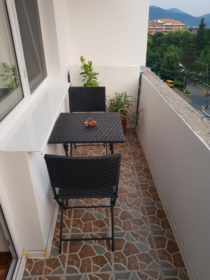 Garsoniera Mihaela Apartment Petroşani Екстериор снимка