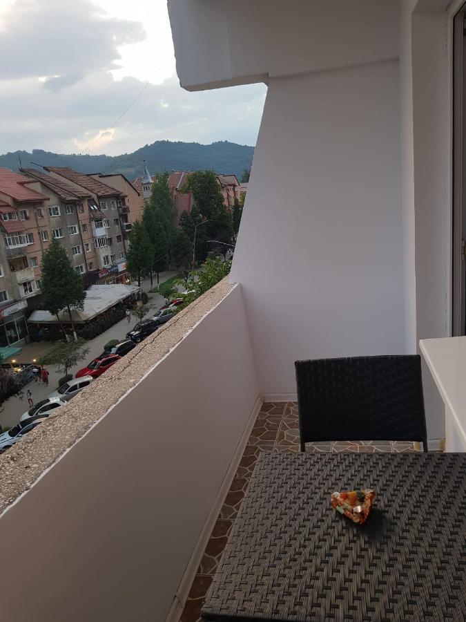 Garsoniera Mihaela Apartment Petroşani Екстериор снимка