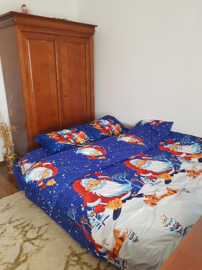 Garsoniera Mihaela Apartment Petroşani Екстериор снимка