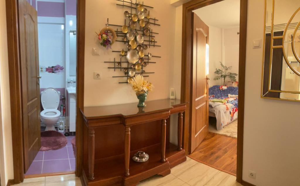 Garsoniera Mihaela Apartment Petroşani Екстериор снимка